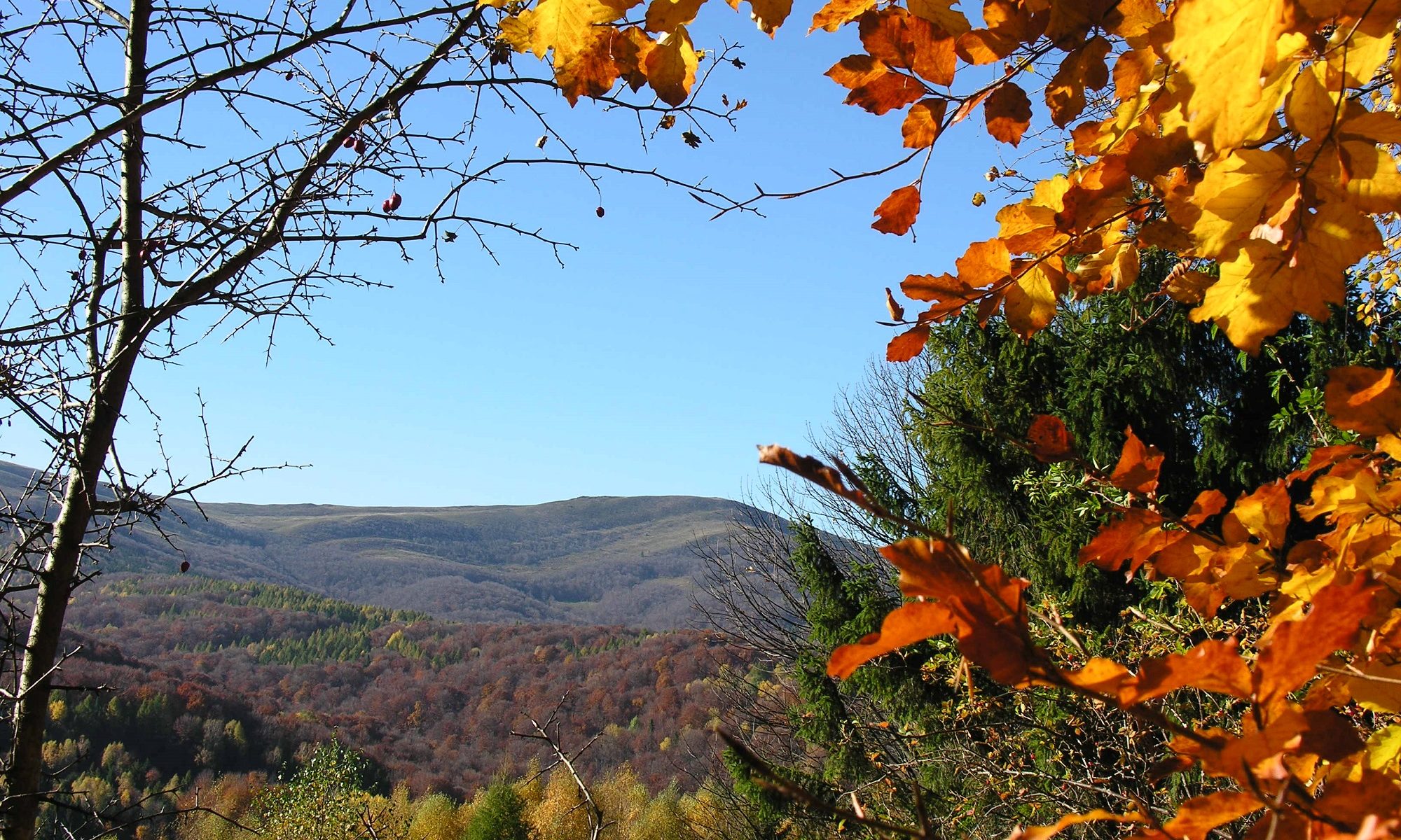 Połonina Caryńska w jesiennych barwach 2000x1200 - Kontakt